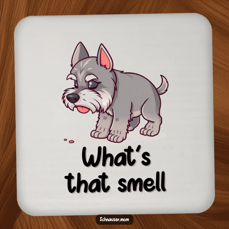 Funny Schnauzer Lady Coaster featuring a dog concentrating on sniffing the ground. A humorous and practical funny gift.